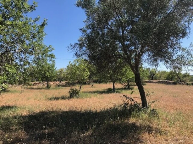 Moradia T4 para Venda em Algoz e Tunes Foto 28