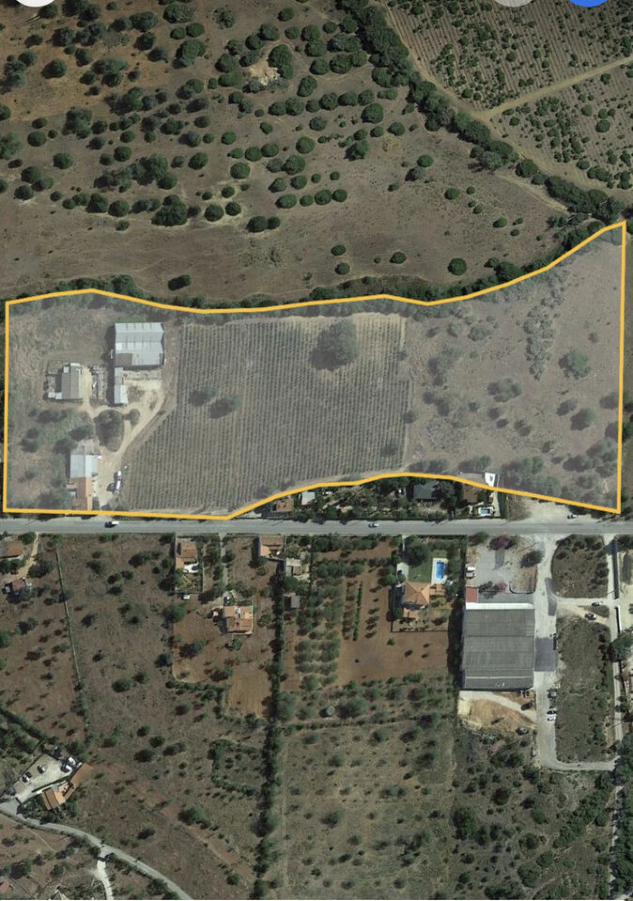 Terreno para Venda em Algoz e Tunes Foto 17