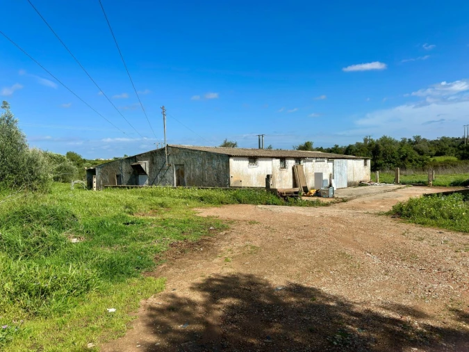 Terreno para Venda em Algoz e Tunes Foto 13