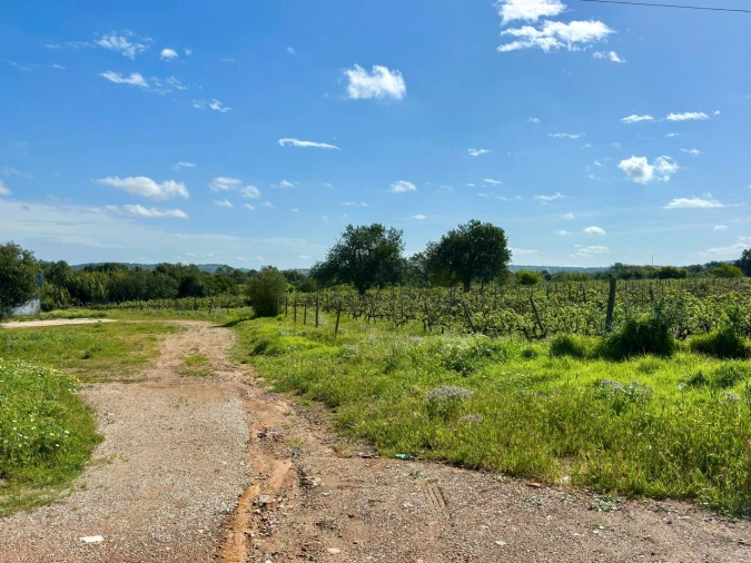 Terreno para Venda em Algoz e Tunes Foto 14