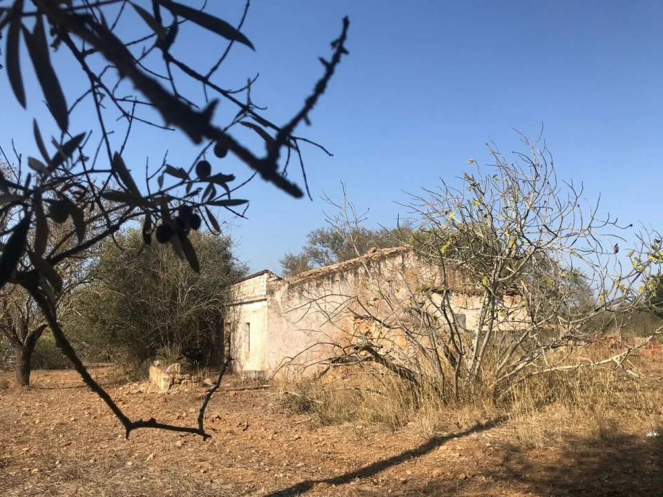 Terreno para Venda em Algoz e Tunes Foto 2