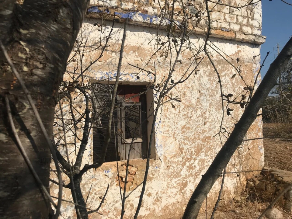 Terreno para Venda em Algoz e Tunes Foto 13