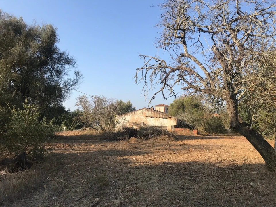 Terreno para Venda em Algoz e Tunes Foto 15