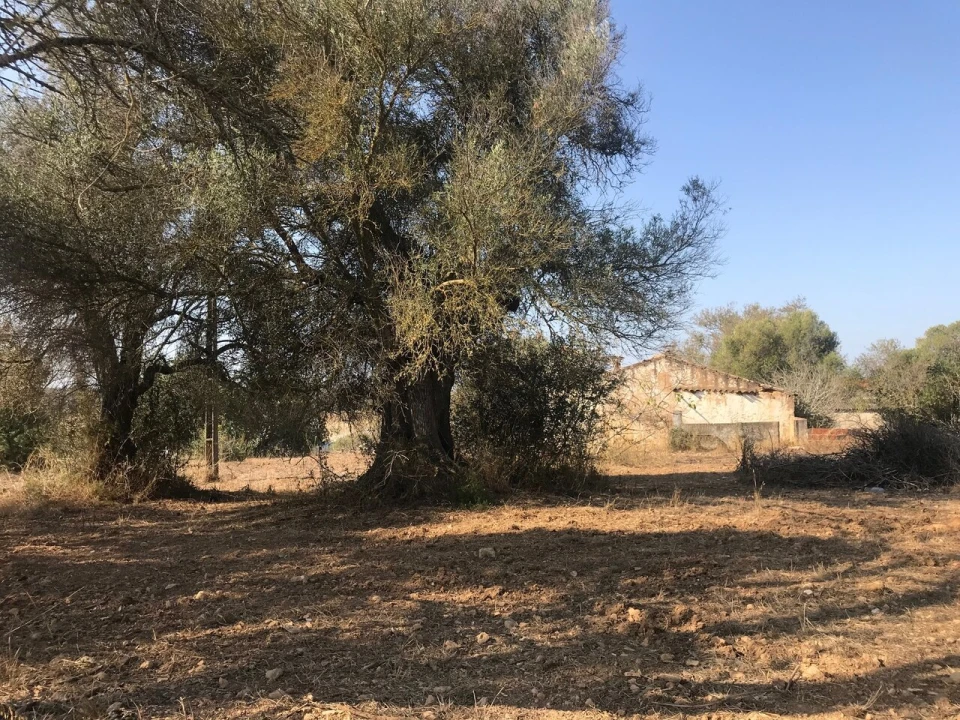 Terreno para Venda em Algoz e Tunes Foto 23