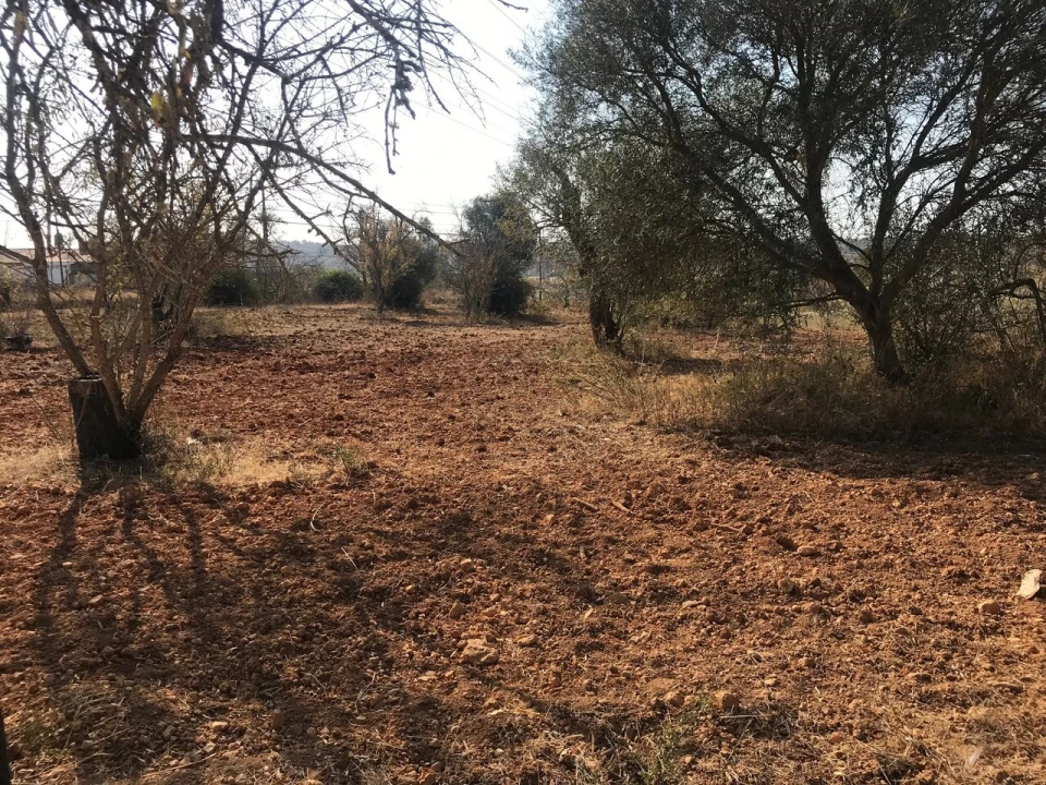 Terreno para Venda em Algoz e Tunes Foto 24