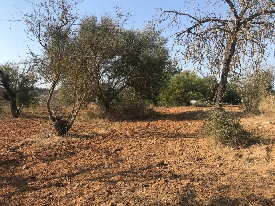 Terreno para Venda em Algoz e Tunes Foto 26