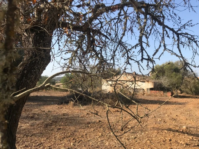 Terreno para Venda em Algoz e Tunes Foto 1