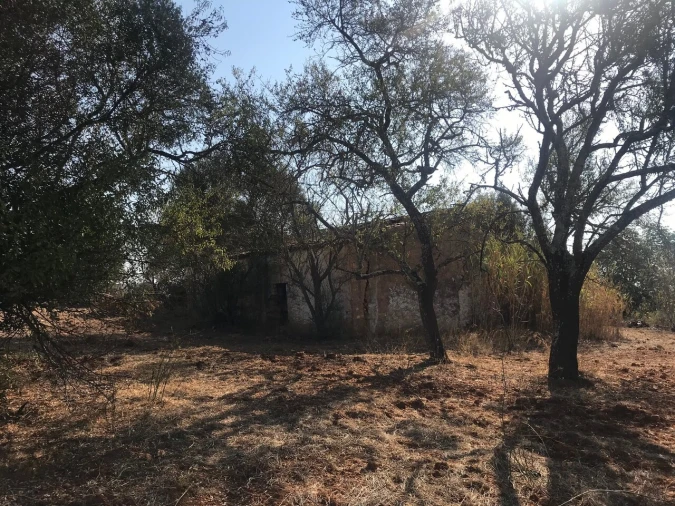 Terreno para Venda em Algoz e Tunes Foto 20