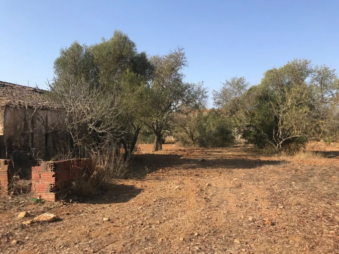 Terreno para Venda em Algoz e Tunes Foto 21