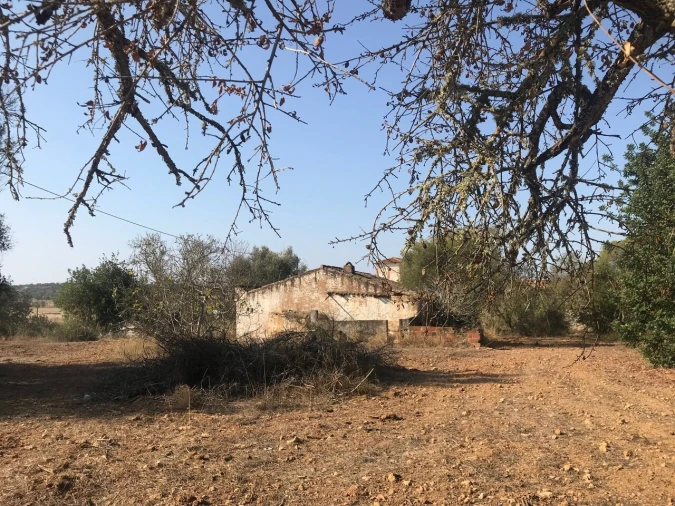 Terreno para Venda em Algoz e Tunes Foto 22