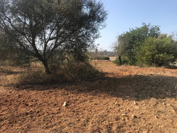 Terreno para Venda em Algoz e Tunes Foto 25