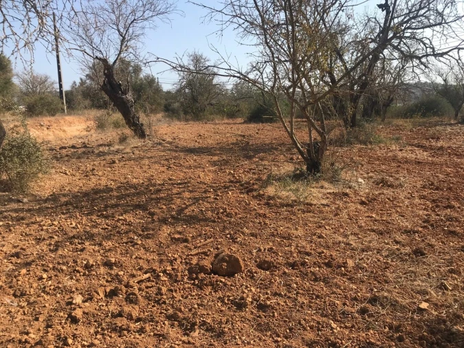 Terreno para Venda em Algoz e Tunes Foto 28