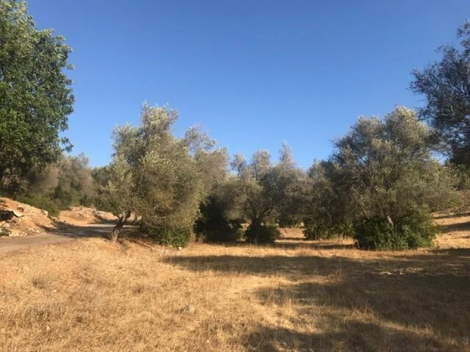 Terreno para Venda em Algoz e Tunes Foto 5