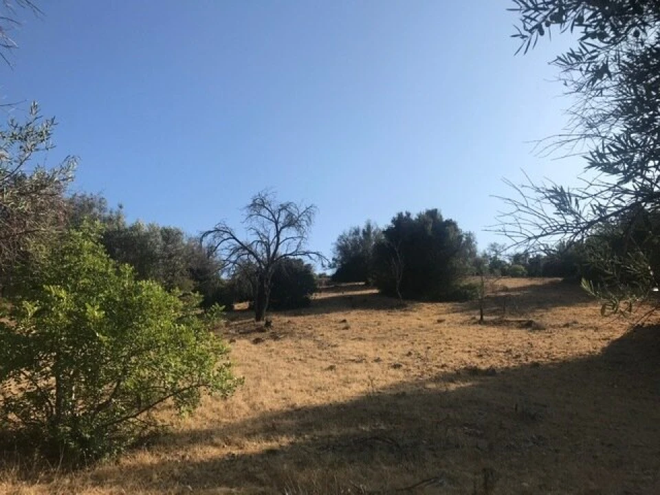Terreno para Venda em Algoz e Tunes Foto 13