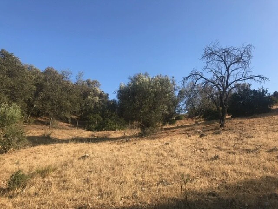 Terreno para Venda em Algoz e Tunes Foto 15