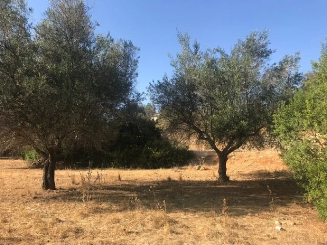 Terreno para Venda em Algoz e Tunes Foto 8