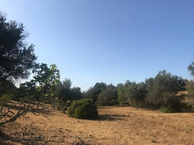 Terreno para Venda em Algoz e Tunes Foto 14