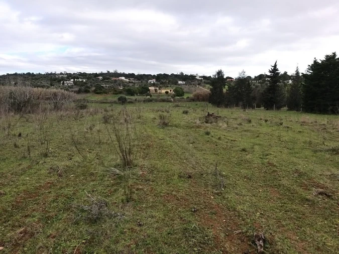 Terreno para Venda em Algoz e Tunes Foto 1