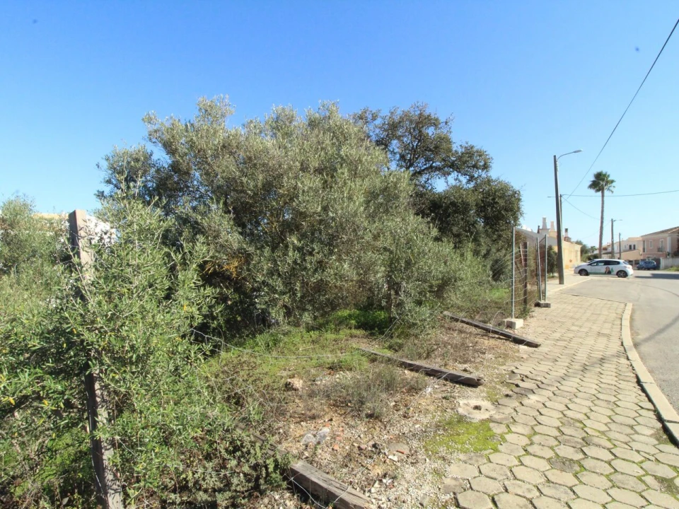 Terreno para Venda em Algoz e Tunes Foto 3