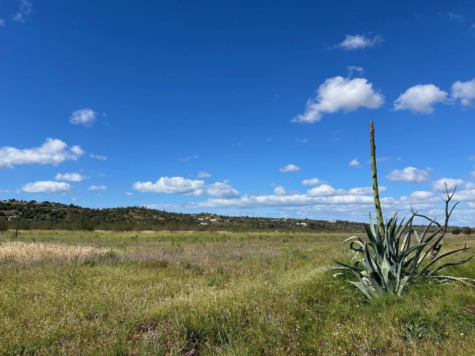 Terreno para Venda em Algoz e Tunes Foto 1