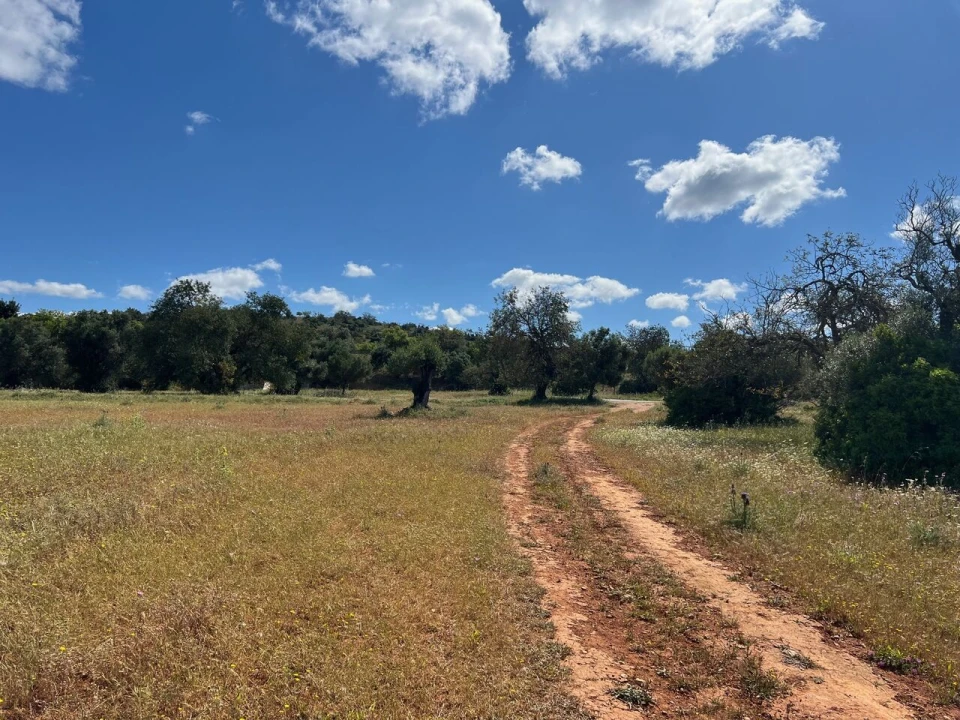 Terreno para Venda em Algoz e Tunes Foto 11