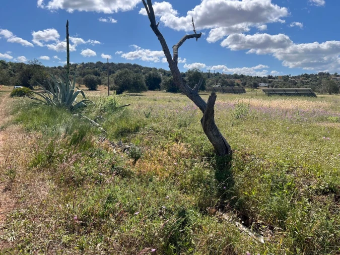 Terreno para Venda em Algoz e Tunes Foto 8