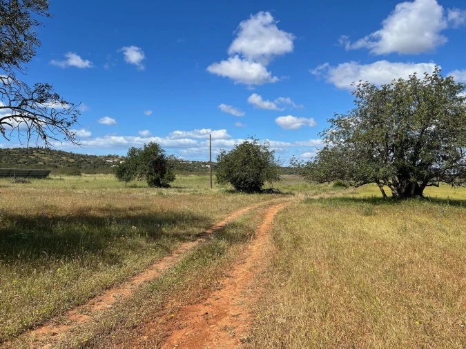 Terreno para Venda em Algoz e Tunes Foto 10