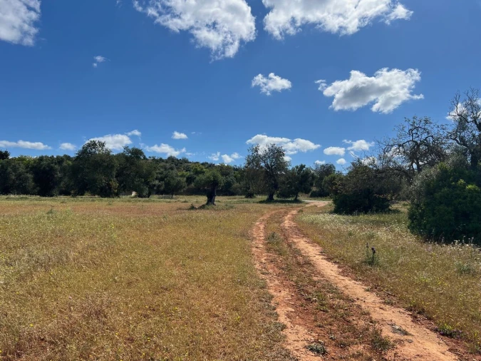 Terreno para Venda em Algoz e Tunes Foto 11