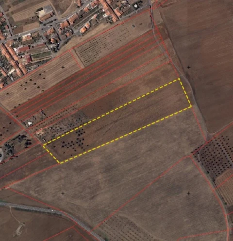 Terreno para Venda em Aljustrel e Rio de Moinhos