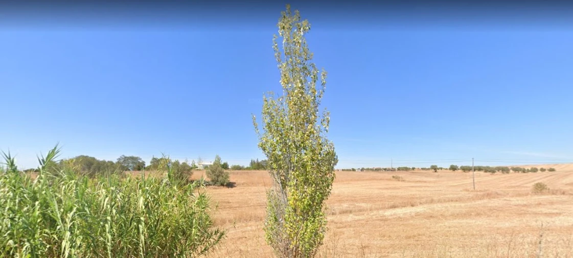 Terreno para Venda em Aljustrel e Rio de Moinhos Foto 3