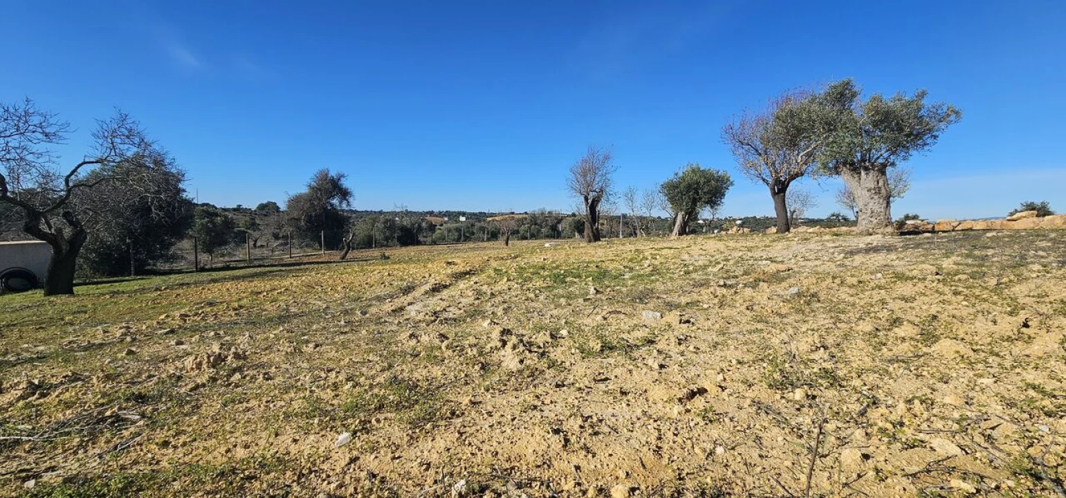 Moradia T4 para Venda em Algoz e Tunes Foto 9