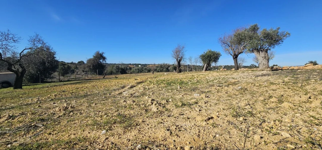 Moradia T4 para Venda em Algoz e Tunes Foto 9