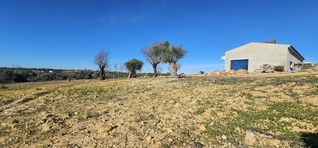 Moradia T4 para Venda em Algoz e Tunes Foto 6