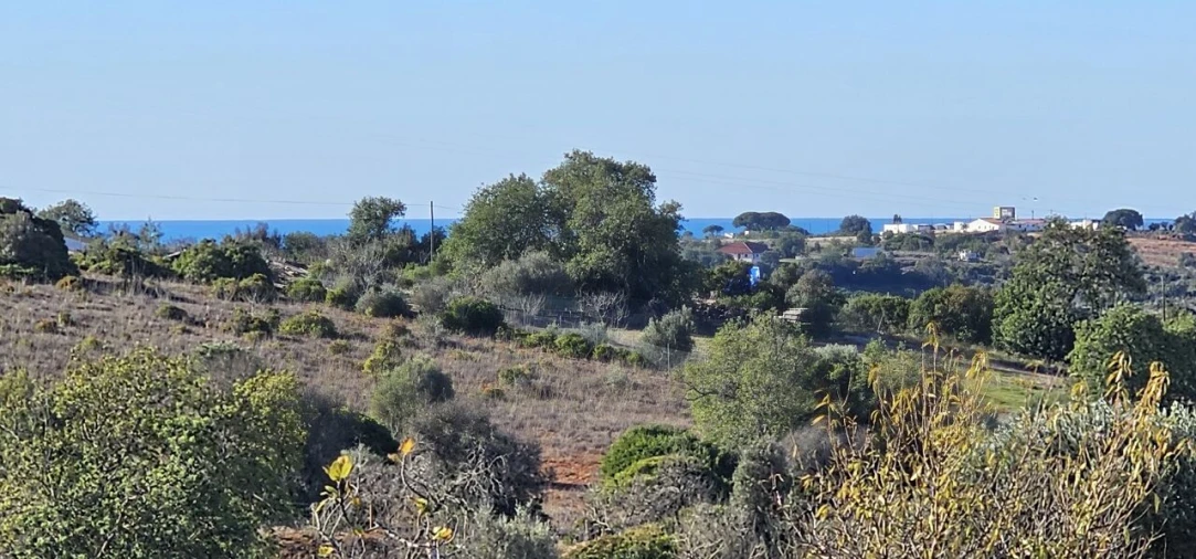 Moradia T4 para Venda em Algoz e Tunes Foto 11