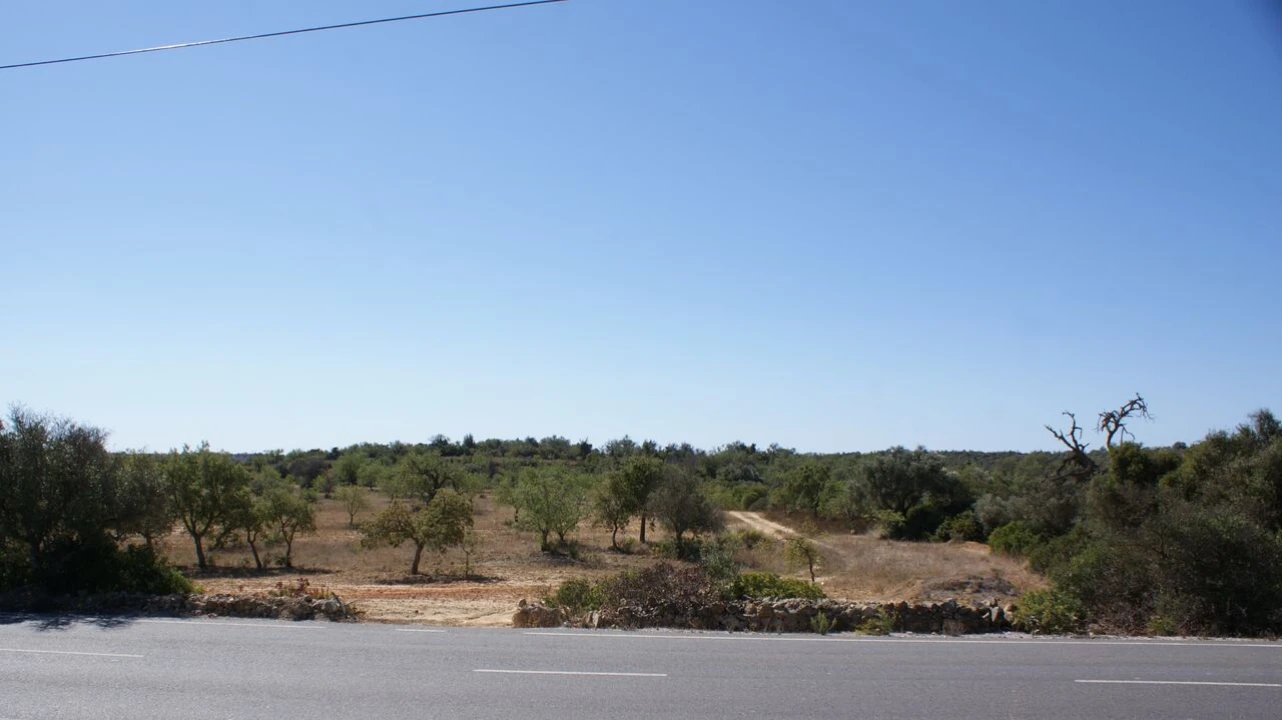 Terreno para Venda em Algoz e Tunes Foto 5