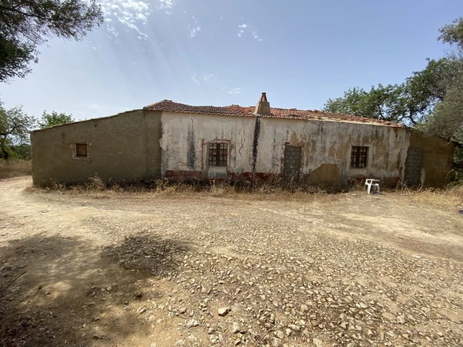 Terreno para Venda em Algoz e Tunes Foto 7