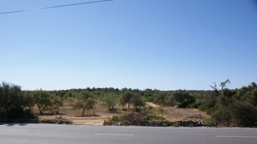 Terreno para Venda em Algoz e Tunes Foto 5