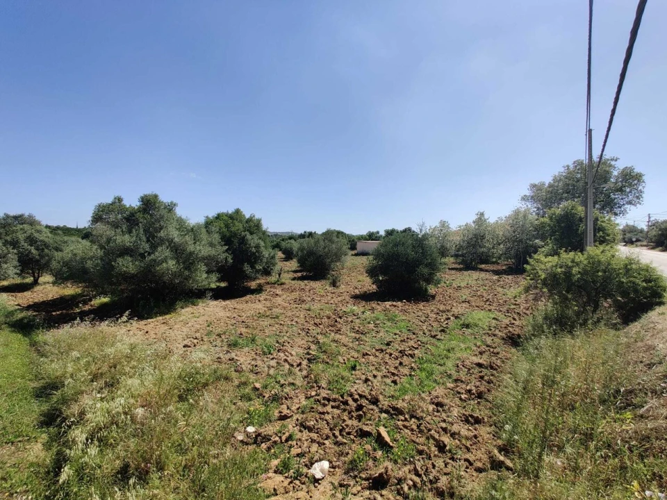 Terreno para Venda em Algoz e Tunes Foto 5
