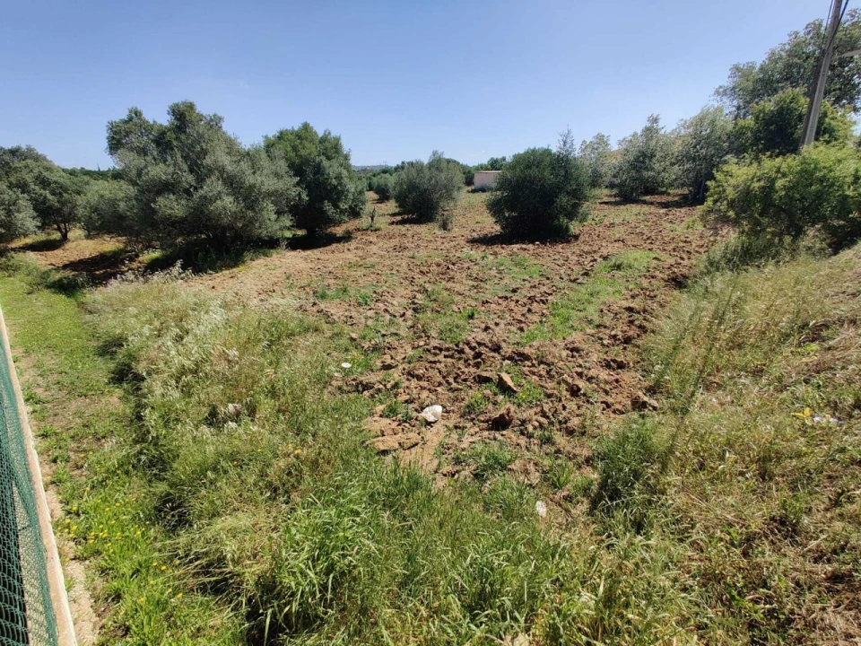 Terreno para Venda em Algoz e Tunes Foto 6