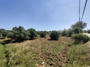 Terreno para Venda em Algoz e Tunes