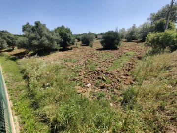 Terreno para Venda em Algoz e Tunes
