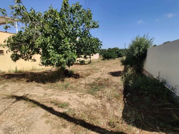 Terreno para Venda em Algoz e Tunes