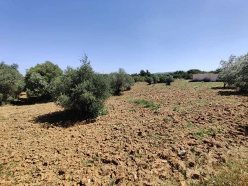 Terreno para Venda em Algoz e Tunes