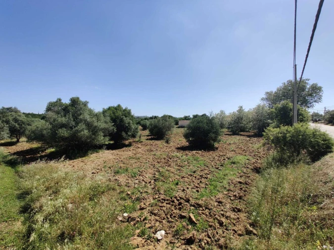 Terreno para Venda em Algoz e Tunes Foto 5