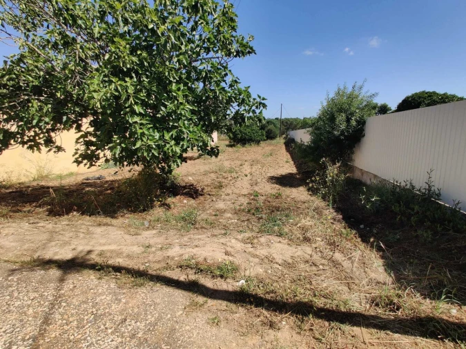 Terreno para Venda em Algoz e Tunes Foto 10