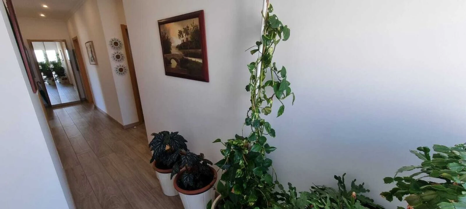 Moradia T3 para Venda em Algoz e Tunes Foto 20