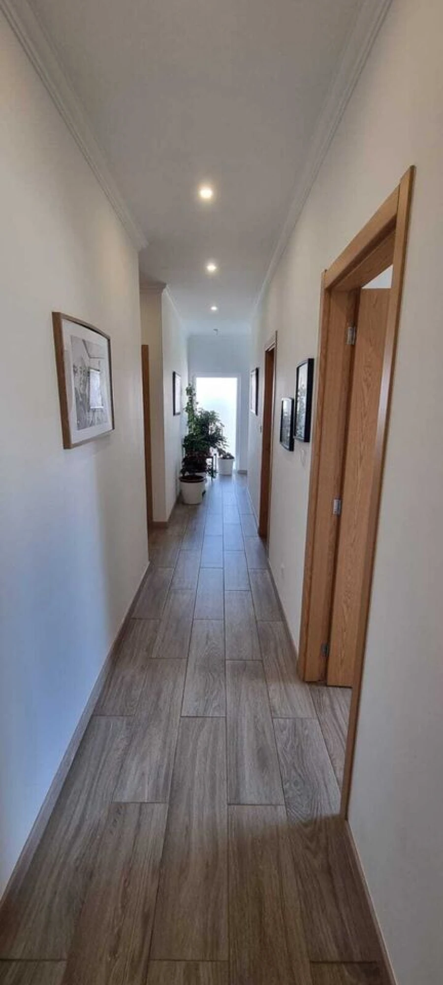 Moradia T3 para Venda em Algoz e Tunes Foto 18