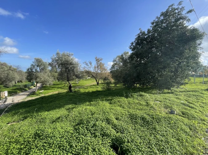 Terreno para Venda em Moncarapacho e Fuseta Foto 7