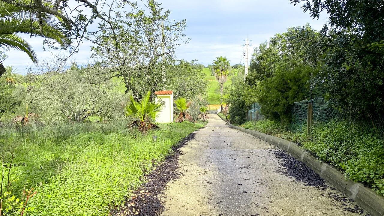 Quinta T3 para Venda em Estômbar e Parchal Foto 7