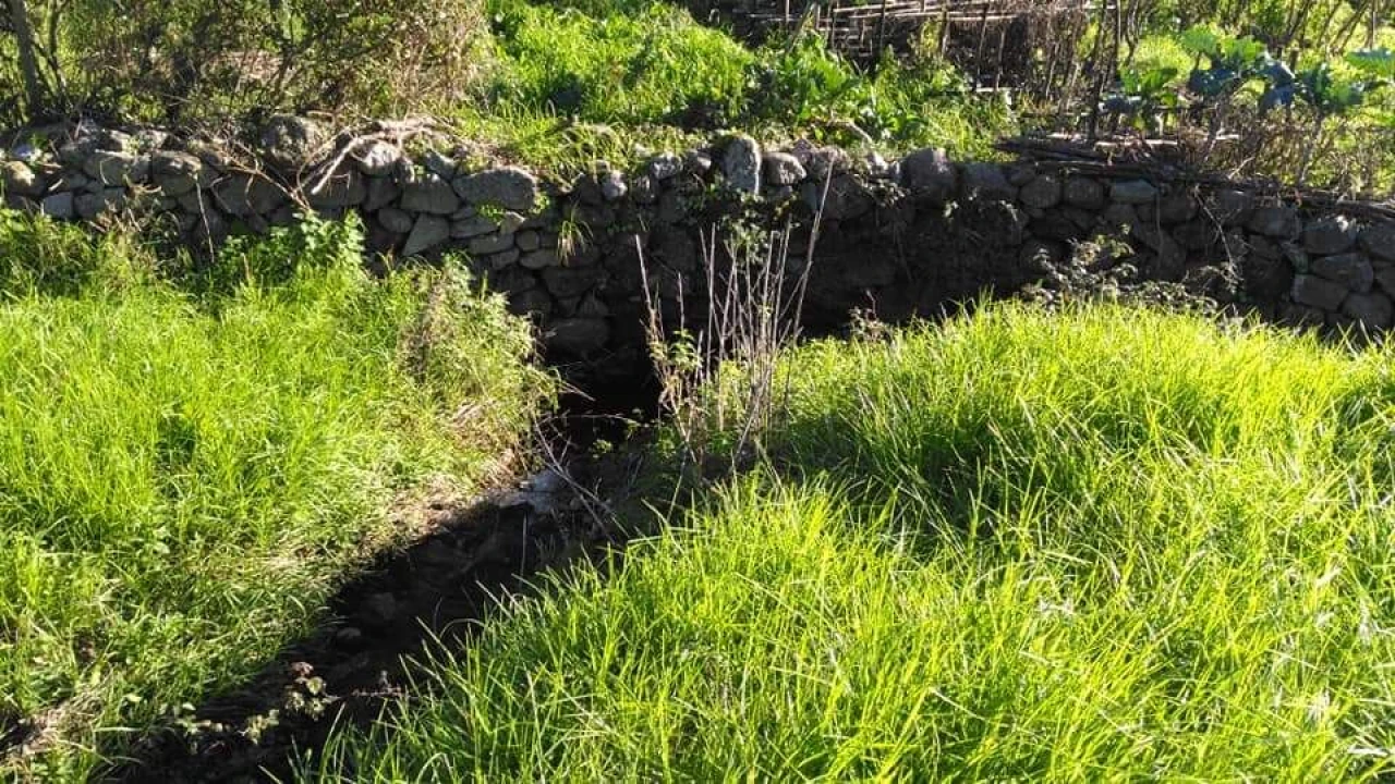 Terreno para Venda em Loule (São Clemente) Foto 1